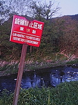 050504_1752~01.jpg