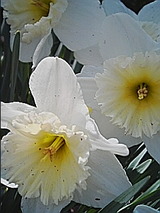 050405_1342~01.jpg