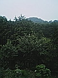 050810_0522~01.jpg
