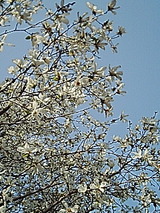 050405_1528~01.jpg