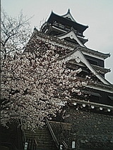 d1339d04.jpg