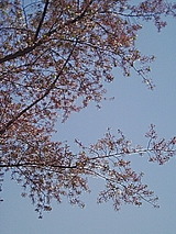 050414_1208~01.jpg