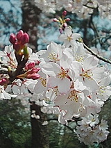 050406_1242~01.jpg