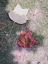 050804_1234~01.jpg