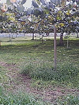 de6b08ab.jpg