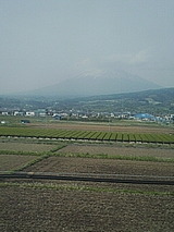 050423_1400~01.jpg