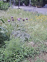 050705_1015~01.jpg