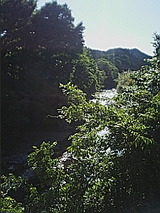 050516_1526~01.jpg