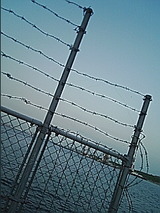 050613_1821~01.jpg