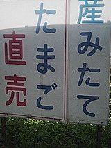 050711_0935~01.jpg