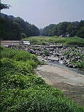 050715_1436~01.jpg