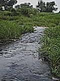 050719_1149~01.jpg