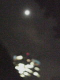 f12e8320.jpg