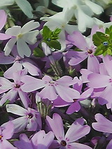 050422_1621~02.jpg