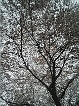 050411_1113~01.jpg