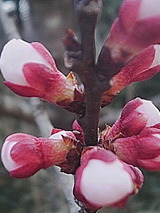 fb853351.jpg