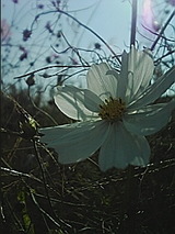 fba46426.jpg