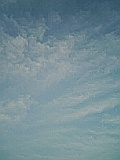 050808_0532~01.jpg