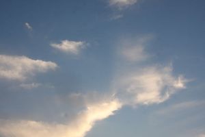 img_6530
