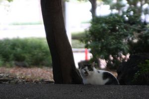 img_6529