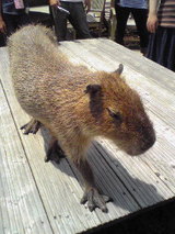 6e7df6c0.jpg