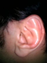 558507c6.jpg