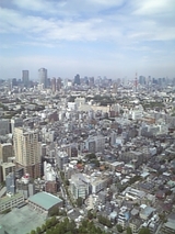 c883d349.jpg