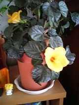 cc7a8001.jpg