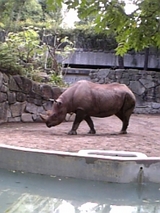 ec458904.jpg