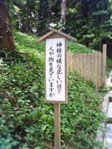 神様の目