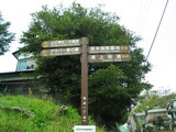 sakamotoentrance
