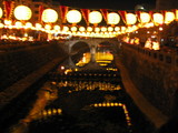 lantanviewMeganebashi
