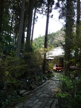 rakusi3