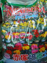 akatukituti