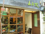 sazanka