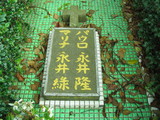 DrNagaisGrave