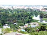 61b8453e.jpg