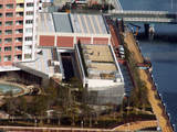 d58081e7.jpg