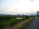 046a08e2.JPG