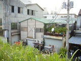 05304320.JPG