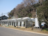 1bfae316.JPG