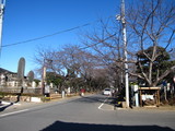 30f4fdd9.JPG