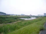 78337b5a.JPG