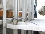 9e6778b6.JPG