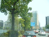 f7cf9755.JPG