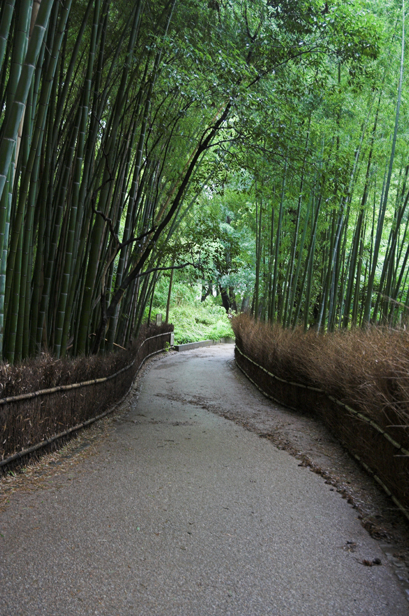 竹林など・・嵯峨嵐山で1_s.jpg