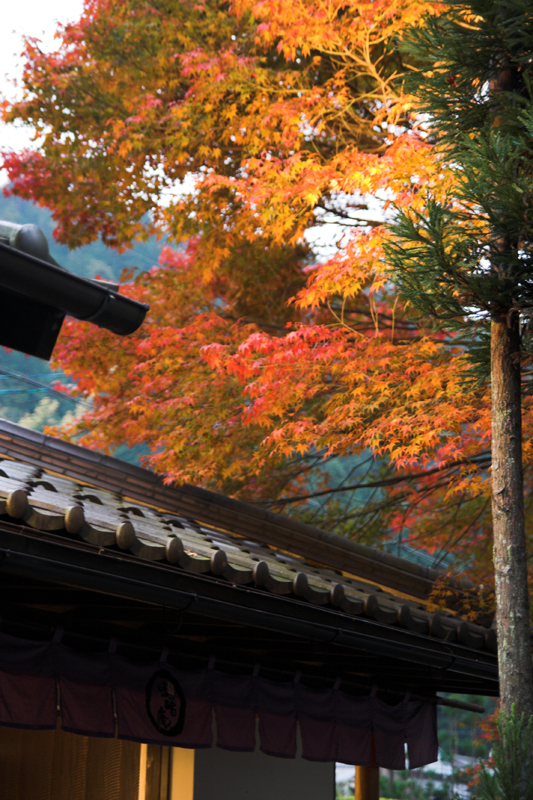 京都大原寂光院1_s.jpg