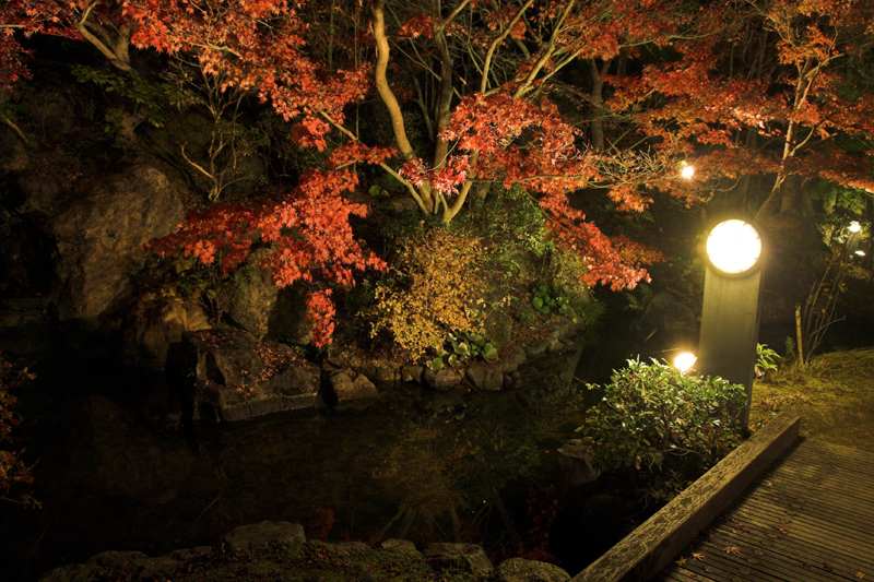 けいはんな記念公園_紅葉ライトアップ8_s.jpg