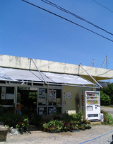 bai1