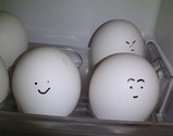た03